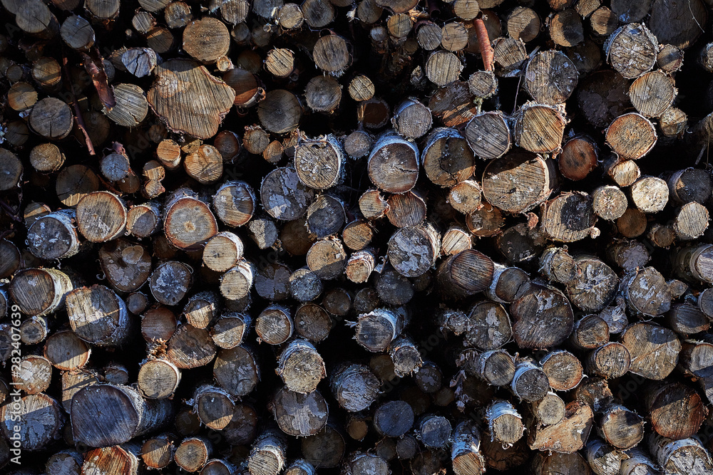 A pile of cut tree trunks. sections of tree trunks. texture A pile of cut tree trunks. sections of tree trunks. texture
