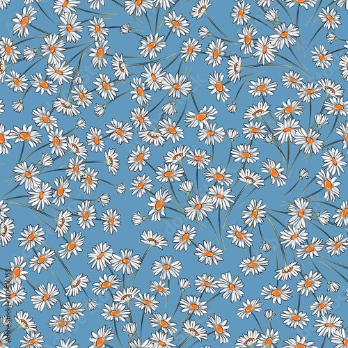 Vector seamless graphical botanical daisy flower pattern. Floral background design. Gentle pretty romantic pattern with chamomile. 