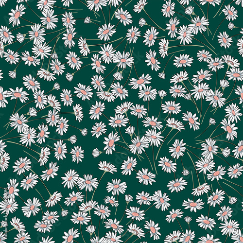 Vector seamless graphical botanical daisy flower pattern. Floral background design. Gentle pretty romantic pattern with chamomile. 