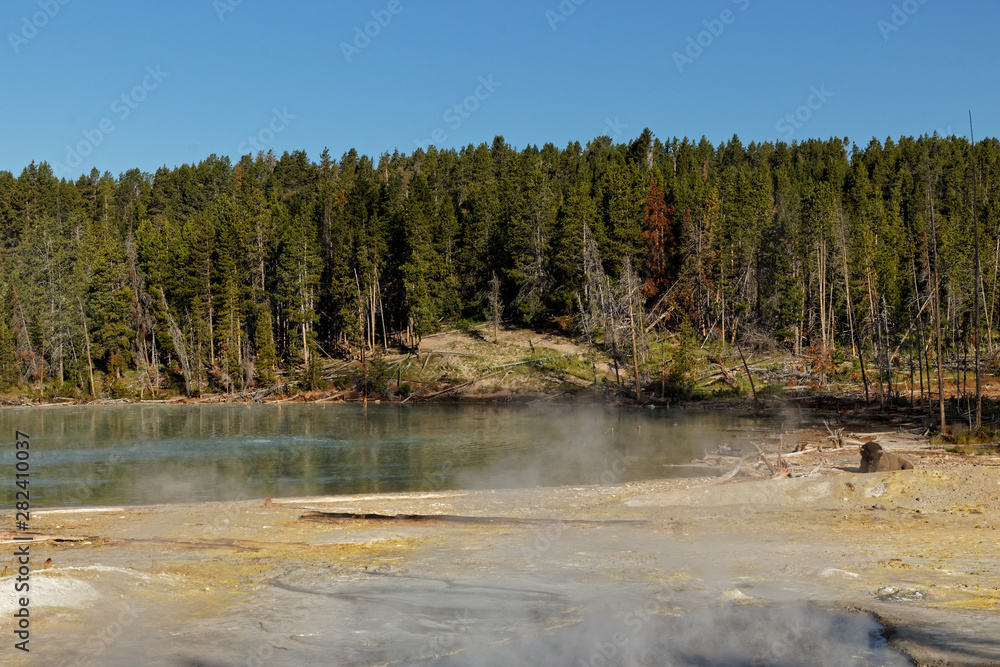 mud volcano area in the Yellowstone National Park mud volcano area in the Yellowstone National Park