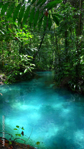 The Kalibiru river, Hidden Blue River in Mayalibit, Waigeo, Raja Ampat, West Papua, Indonesia