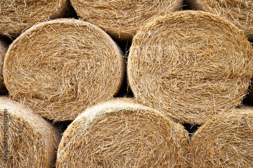 Hay bales. Close-up round hay bales stacked in stacks. Hay bales. Close-up round hay bales stacked in stacks.