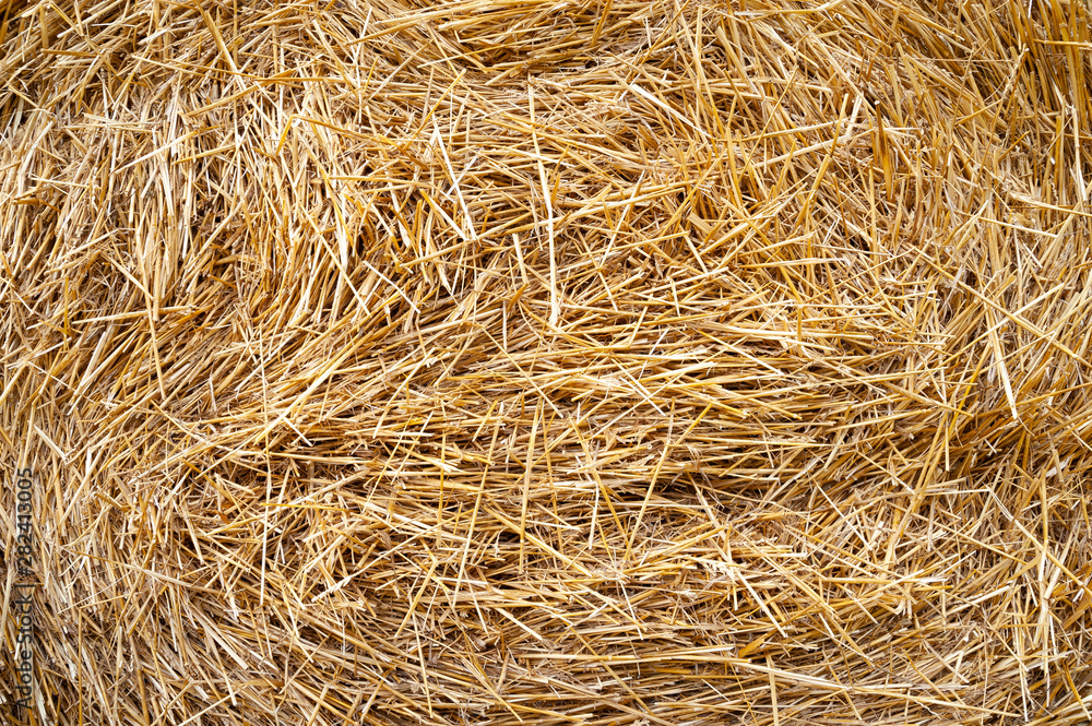 Hay texture. Hay bales are stacked in large stacks. Hay texture. Hay bales are stacked in large stacks.