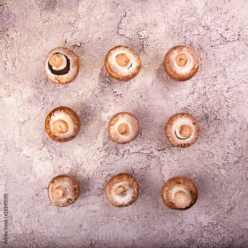 Rows of champignon mushroom on gray concrete background. Top view