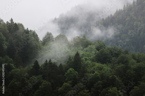 Berg und Wald in Nebel
