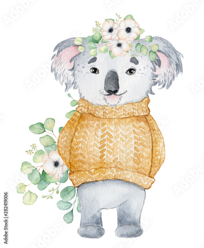 Photography Koala bear cute animal character watercolor illustration