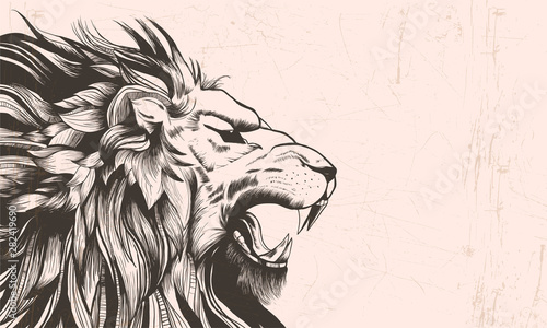 Obraz na plátně Lion