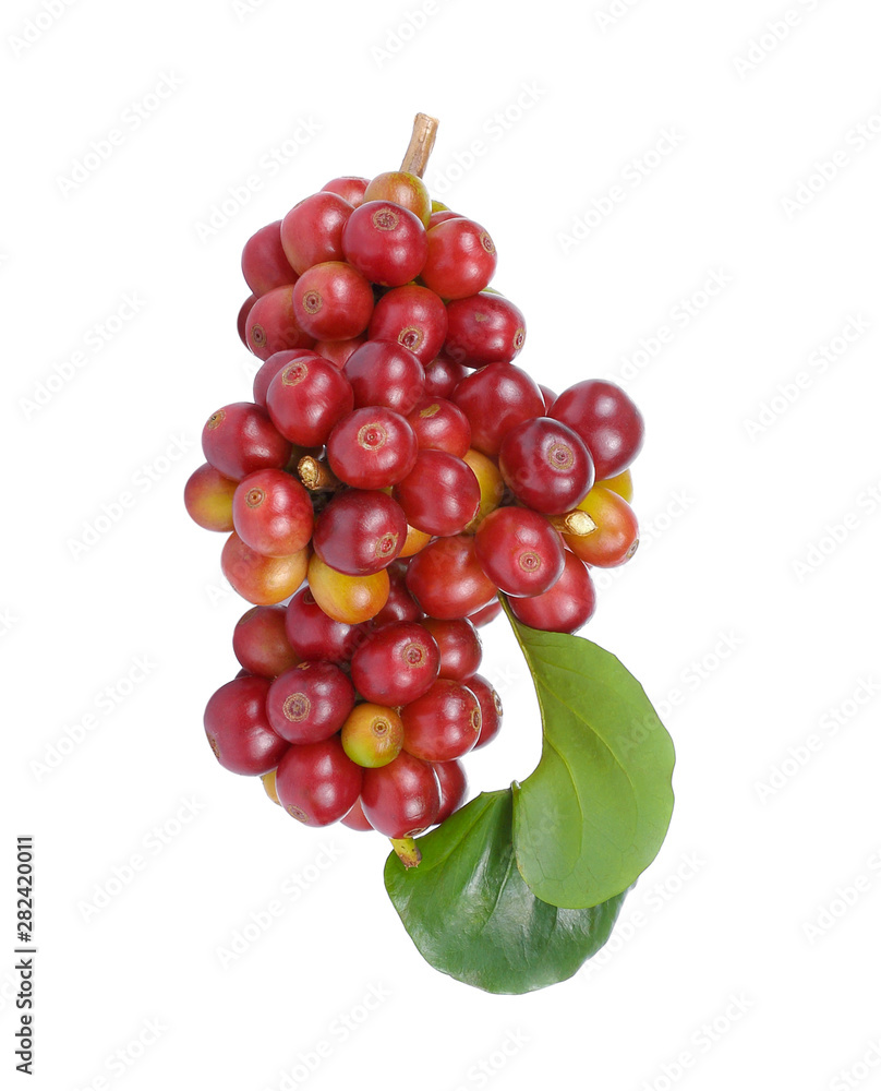 Fototapeta premium fresh coffee beans with leaf isolated on white background