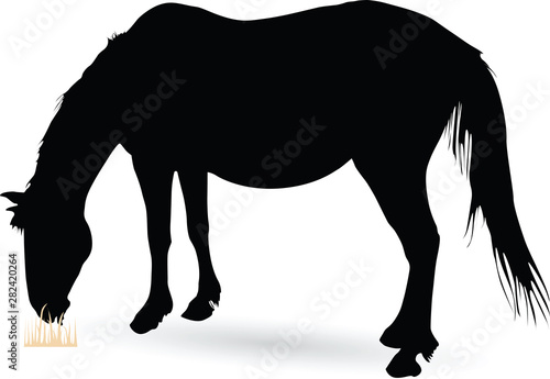 Silhouette of Large Horse