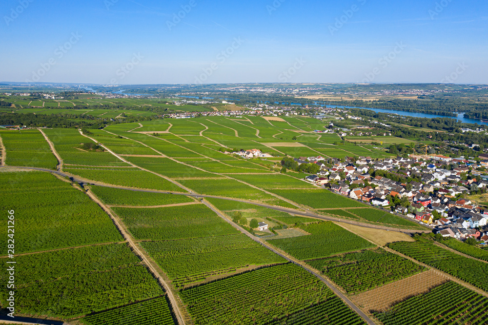 Blick von oben auf die Weinberge bei Rüdesheim/Deutschland im Rheingau Blick von oben auf die Weinberge bei Rüdesheim/Deutschland im Rheingau