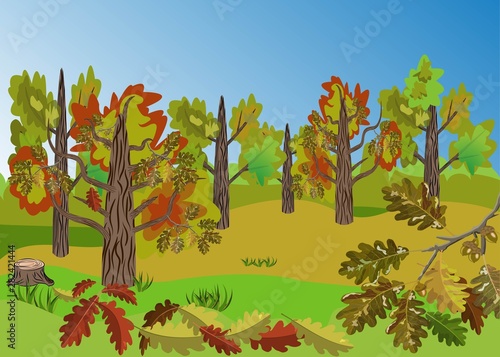 Autumn Oak Tree Grove landscape with beatiful colorful oak leaves folliage and outstanding landscape view