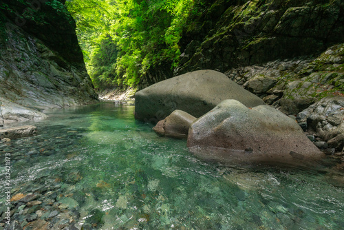 丹沢のユーシンブルー　夏