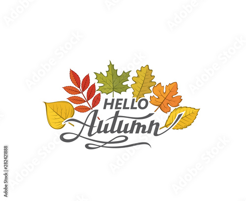 hello autumn lettering label with woody leaves isolated on white background