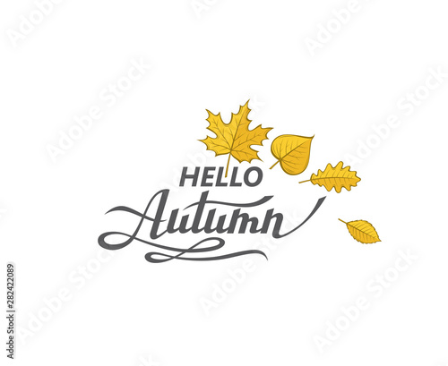 hello autumn lettering label with woody leaves isolated on white background