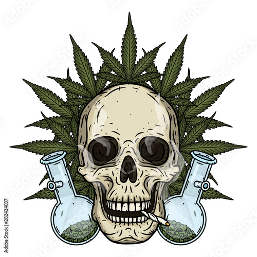 Skull. Skull with bong and marijuana leaves. Rastaman skull with cannabis leafs and spliff.