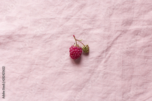 Raspberry on a flaxen pink background, minimalism