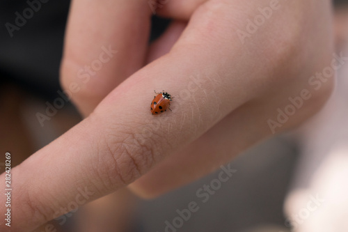 Little red ladybird on the man hand. Small ladybug on the white human skin. Macro image