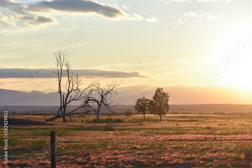 sunset over a field