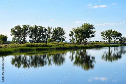 lake in forest