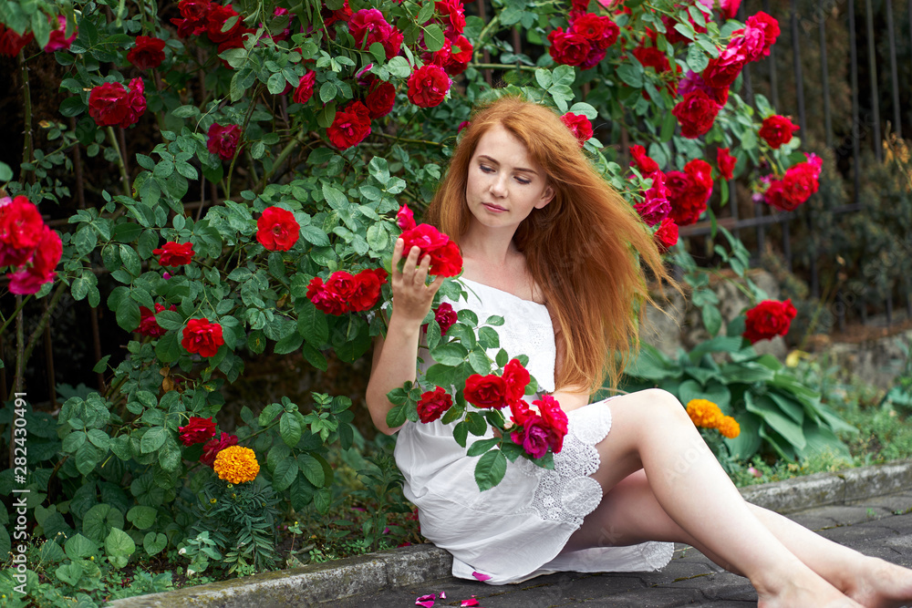 Cute romantic redhead girl with bare feet wearing in a white stylish dress sitting on background of blooming roses and holding a branch with a roses. Summertime. Outdoor.