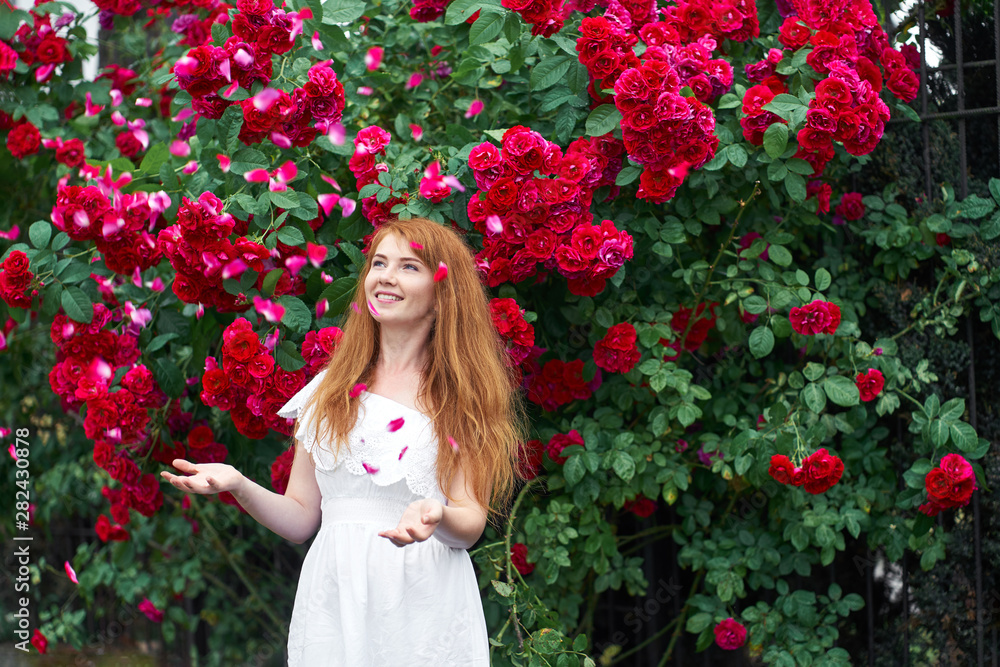 Portrait of a pretty redhead girl dressed in a white light dress on a background of blooming roses. Outdoor. Portrait of a pretty redhead girl dressed in a white light dress on a background of blooming roses. Outdoor.