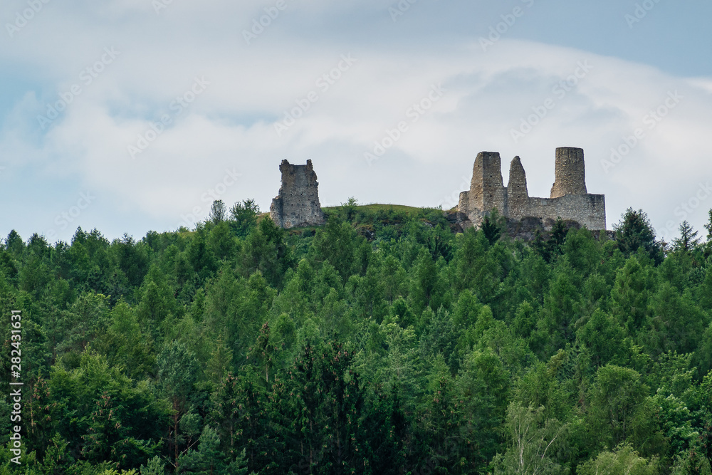 Castle ruin Hohenburg, Upper Palatinate in Bavaria, Germany