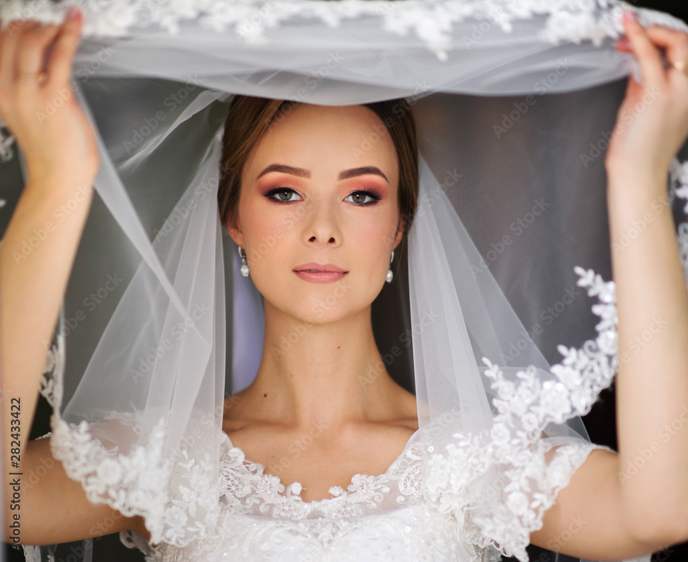 Beautiful bride on her wedding morning. Wedding day Beautiful bride on her wedding morning. Wedding day