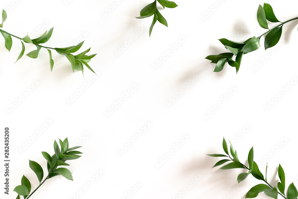 Border frame made of ruscus branches on white background
