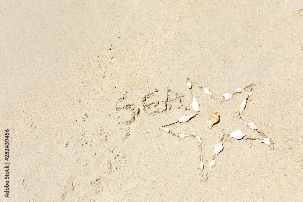 Starfish on the light sea sand. Texture of light sand. The concept of a beach holiday. Summer concept. Flat lay, top view, copy space