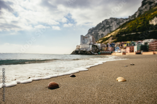 Close up on tiny shells atop sunlit sand of beach
