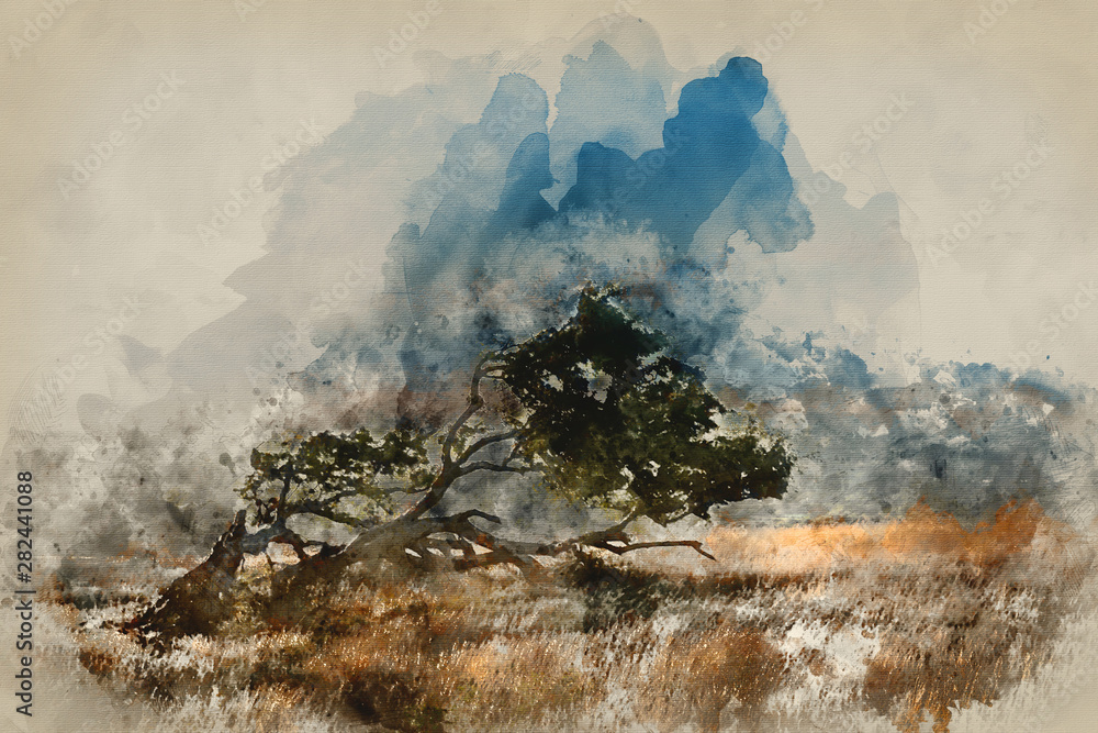 Obraz Cyfrowy obraz akwarelowy przedstawiający oszałamiający letni krajobraz zachodu słońca przedstawiający pojedyncze drzewo w Parku Narodowym South Downs w angielskiej wsi