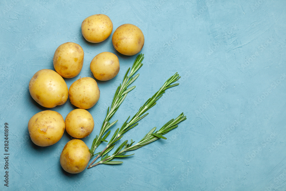 Raw potato tubers with rosemary on blue background