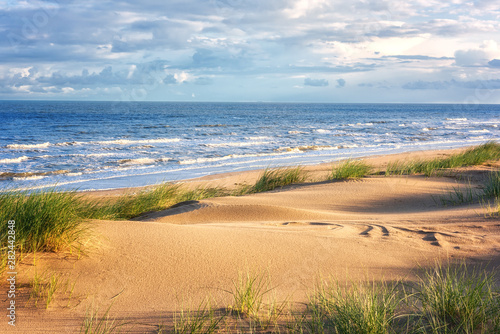 Fototapeta Naklejka Na Ścianę i Meble -  Amazing nature landscape with sand dunes, green grass, sea and fantastic blue sky with clouds. Natural outdoor travel background, Northern sea, Netherlands