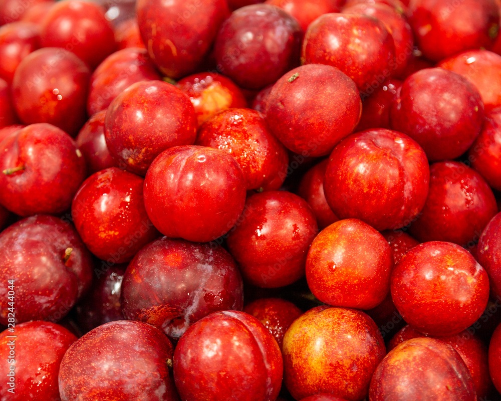 Fresh red plums Fresh red plums