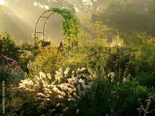 Horizontal image of a country garden in fall (autumn) with flowers, ornamental grasses, an arbor (arch), and fence lit by sunbeams from sunrise