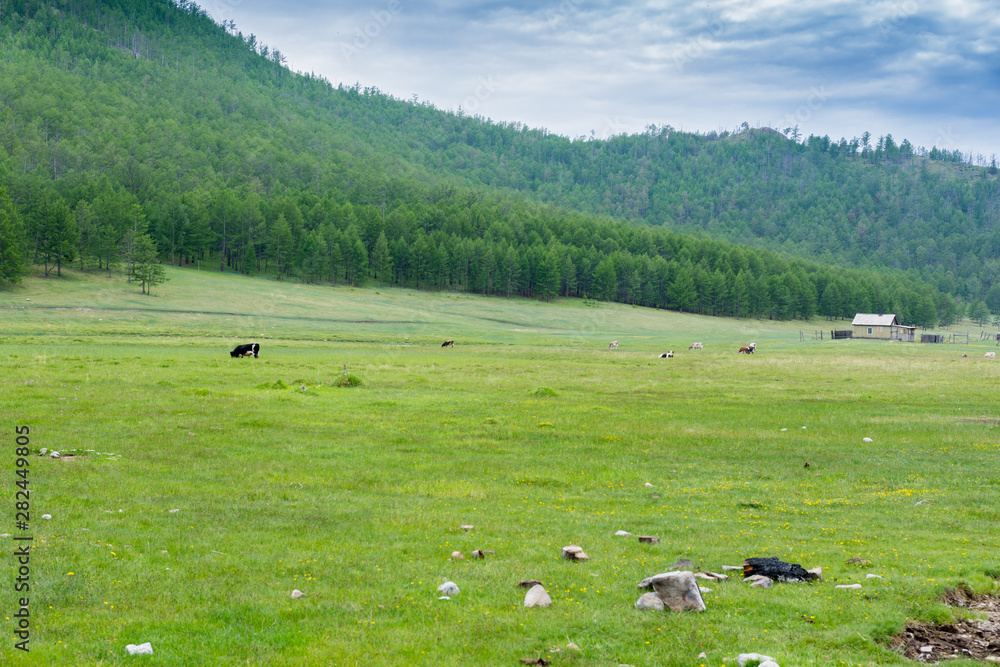 view of the beautiful landscape on a sunny summer day on the island of Olkhon near Lake Baikal
