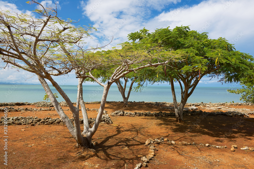 Ruins of La Isabella settlement in Puerto Plata, Dominican Republic. La Isabella was founded by Christopher Columbus in 1493. Ruins of La Isabella settlement in Puerto Plata, Dominican Republic. La Isabella was founded by Christopher Columbus in 1493.