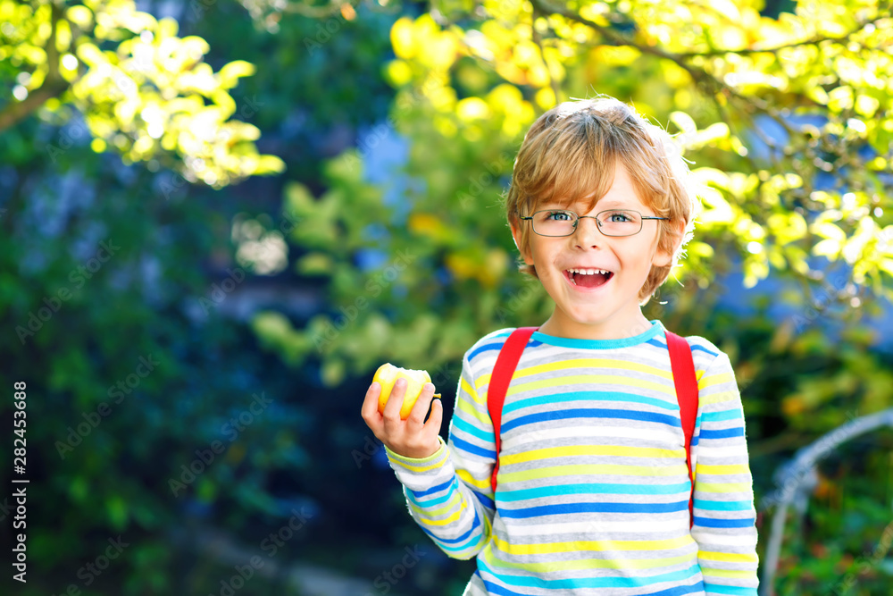 Happy little preschool kid boy with glasses, books, apple and backpack on his first day to school or nursery. Funny healthy child outdoors on warm sunny day, Back to school concept. Laughing boy. Happy little preschool kid boy with glasses, books, apple and backpack on his first day to school or nursery. Funny healthy child outdoors on warm sunny day, Back to school concept. Laughing boy.
