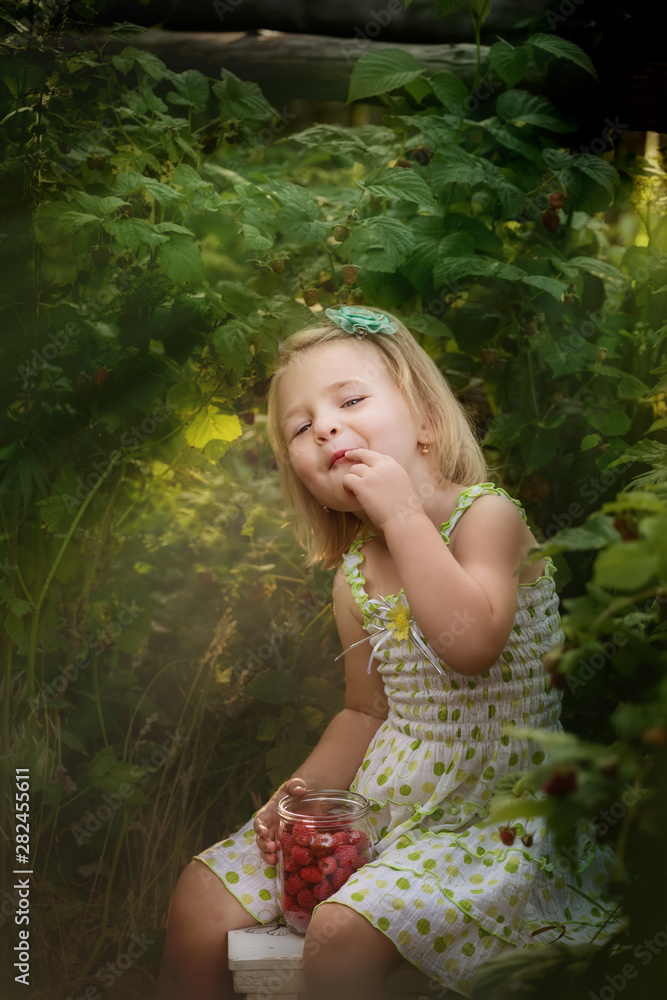 A little girl with a can of raspberry berries in the garden is eating raspberry berries. A little girl with a can of raspberry berries in the garden is eating raspberry berries.