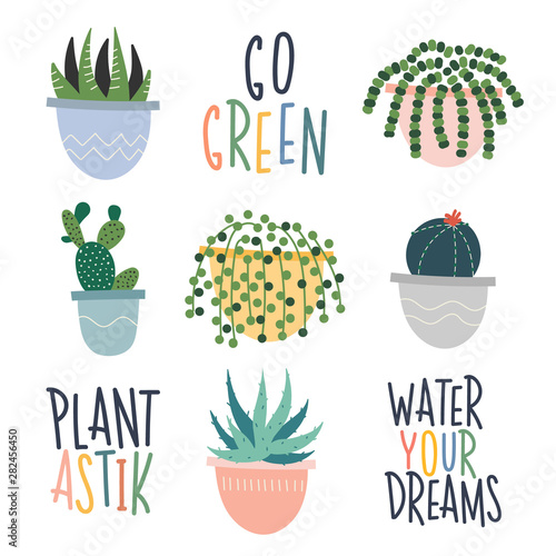 Hand drawn home succulent and cactus potted plants. Cute modern illustrations of different indoor plants. Lettering handwritten quotes with greenery images. Cartoon flat vector illustration