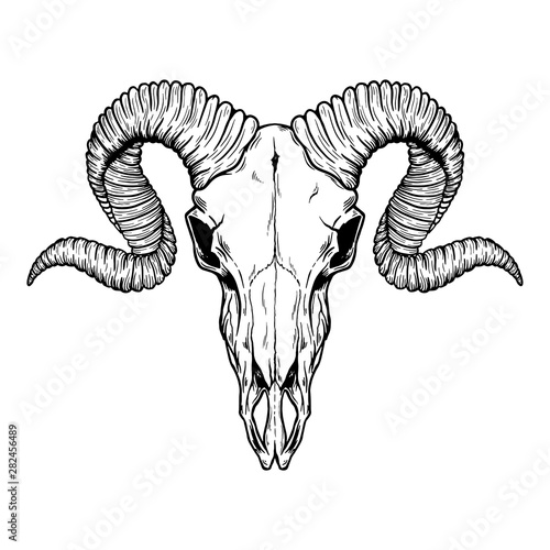 Hand drawn Buffalo Skull Native American Totem