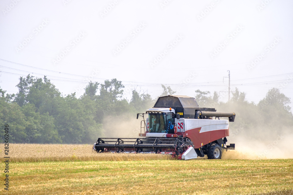Obraz premium Harvester in dust clubs at work on the harvest of wheat on a huge field in the summer. Thus, the birth of bread occurs.