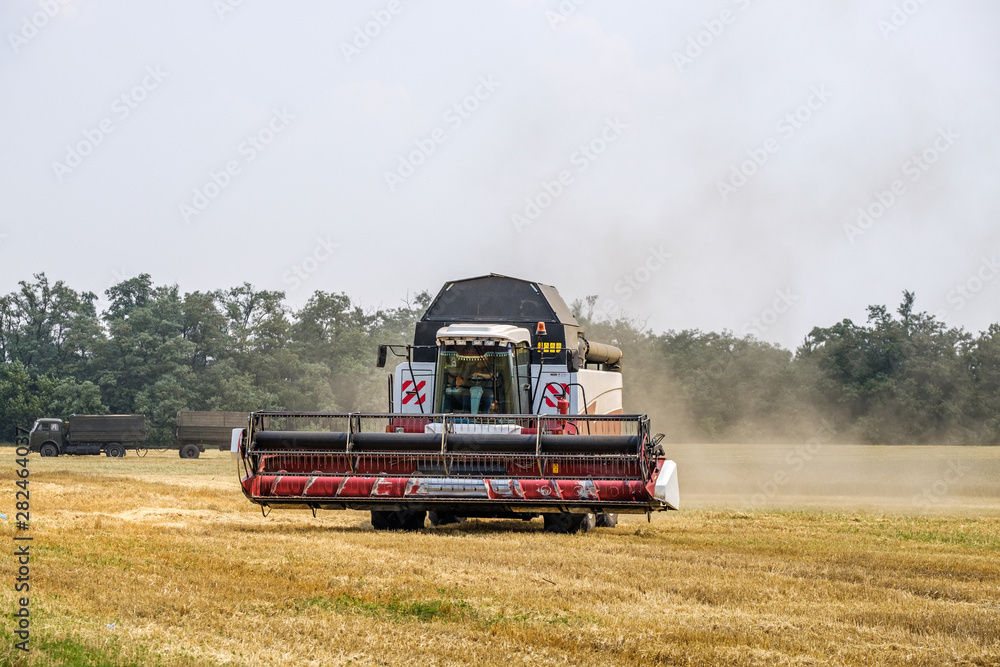 Obraz premium Harvester in dust clubs at work on the harvest of wheat on a huge field in the summer. Thus, the birth of bread occurs.