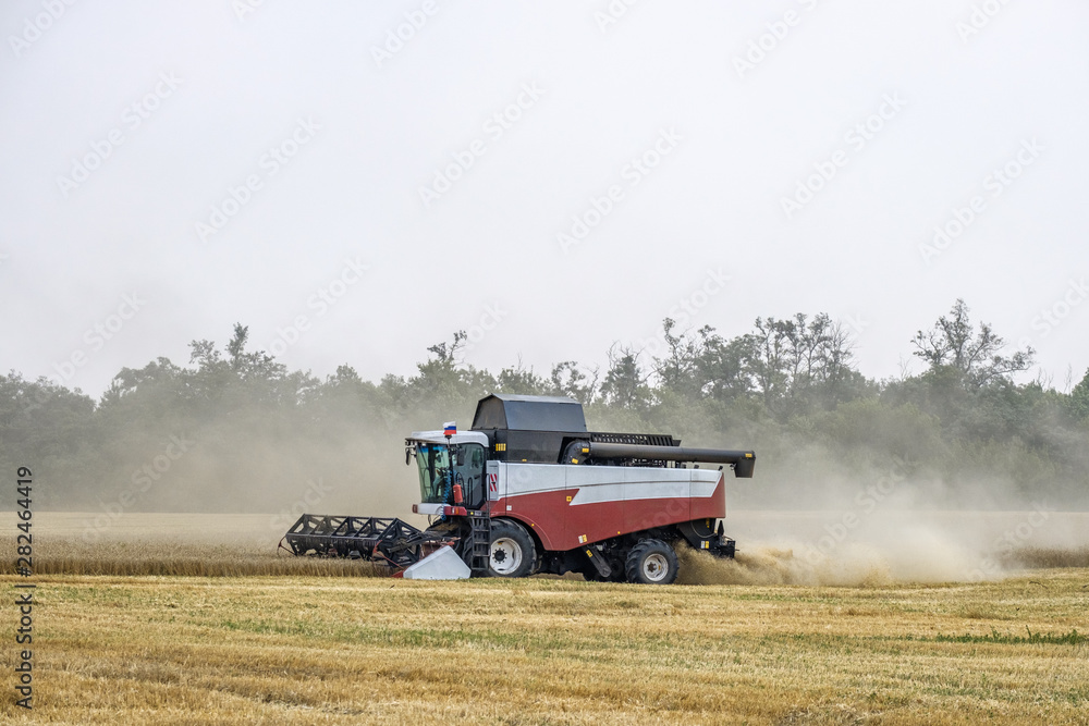 Obraz premium Harvester in dust clubs at work on the harvest of wheat on a huge field in the summer. Thus, the birth of bread occurs.