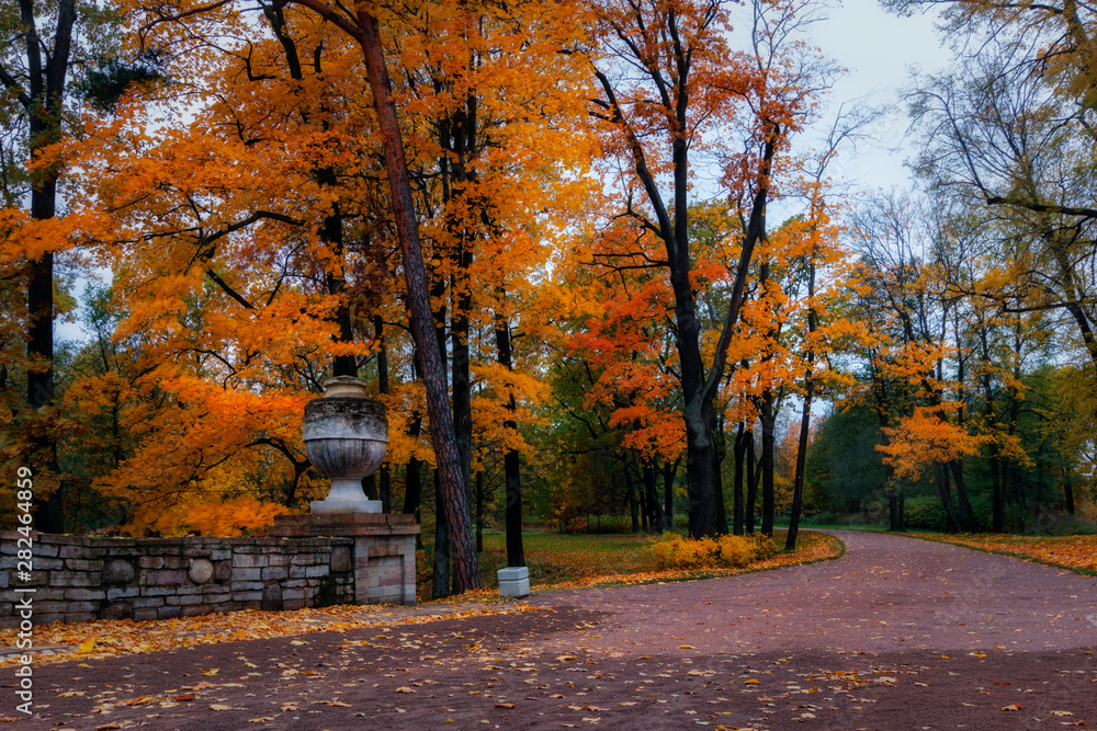 Golden autumn in the Alexandria park. Peterhof, Leningrad region.