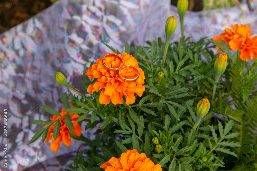 wedding rings lie on a grid. Wedding rings lie on marigold flowers. preparation for the wedding ceremony. wedding rings lie on a grid. Wedding rings lie on marigold flowers. preparation for the wedding ceremony.