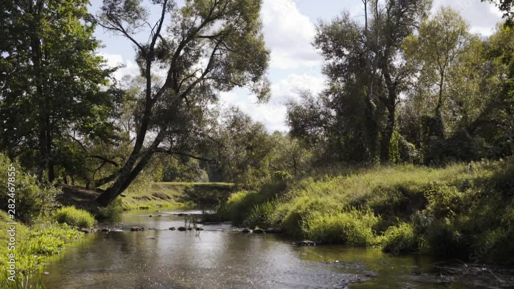A peaceful river that flows quietly with abundant vegetation on its banks A peaceful river that flows quietly with abundant vegetation on its banks