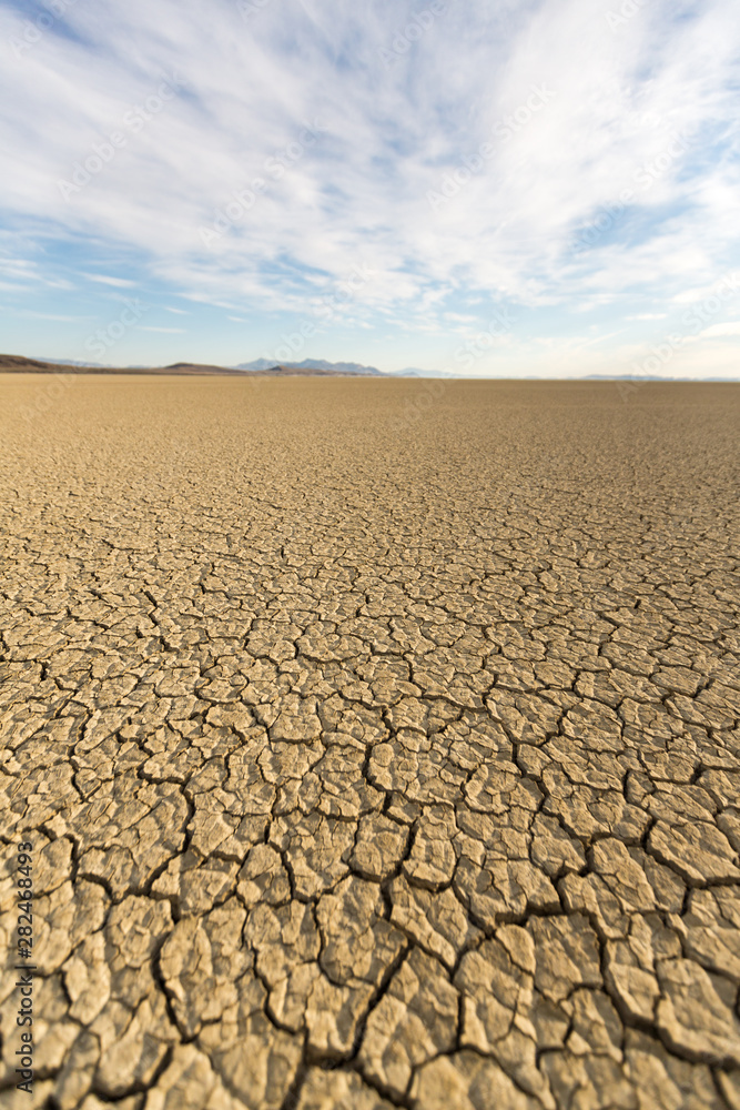 Cracked playa mud texture from the desert Cracked playa mud texture from the desert
