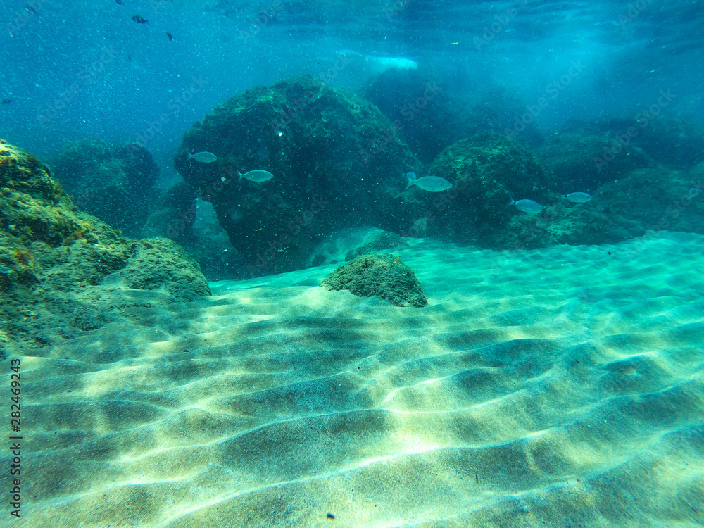 Fototapeta premium underwater background and free space for your decoration. 