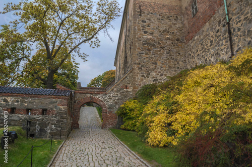 Photography akershus